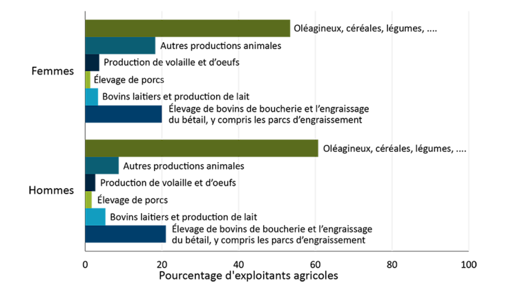Graphique montrant la proportion de femmes et d’hommes et qui dirigent différents types d’exploitations. Voici les catégories de types d’exploitations agricoles : l’élevage de bovins de boucherie, y compris les parcs d’engraissement; les bovins laitiers et la production de lait; l’élevage de porcs; la production de volailles et d’œufs; d’autres productions animales; les oléagineux, les céréales, les légumes, les fruits et les autres cultures (y compris la serriculture). Les tendances sont examinées dans le texte.
