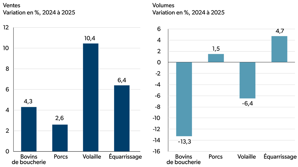 Deux diagrammes à barres montrant la variation en pourcentage des ventes et des volumes des sous-secteurs entre 2024 et 2025. Les ventes ont augmenté dans tous les sous-secteurs. Le sous-secteur de la volaille a enregistré la plus forte croissance, suivi par l’équarrissage et les bovins de boucherie. Les volumes ont reculé pour les sous-secteurs des bovins de boucherie et de la volaille tandis qu’ils ont progressé pour le porc et l’équarrissage.
