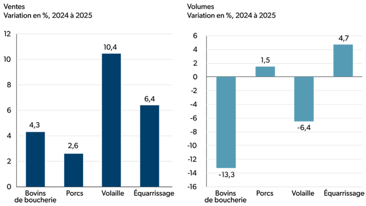 Deux diagrammes à barres montrant la variation en pourcentage des ventes et des volumes des sous-secteurs entre 2024 et 2025. Les ventes ont augmenté dans tous les sous-secteurs. Le sous-secteur de la volaille a enregistré la plus forte croissance, suivi par l’équarrissage et les bovins de boucherie. Les volumes ont reculé pour les sous-secteurs des bovins de boucherie et de la volaille tandis qu’ils ont progressé pour le porc et l’équarrissage.