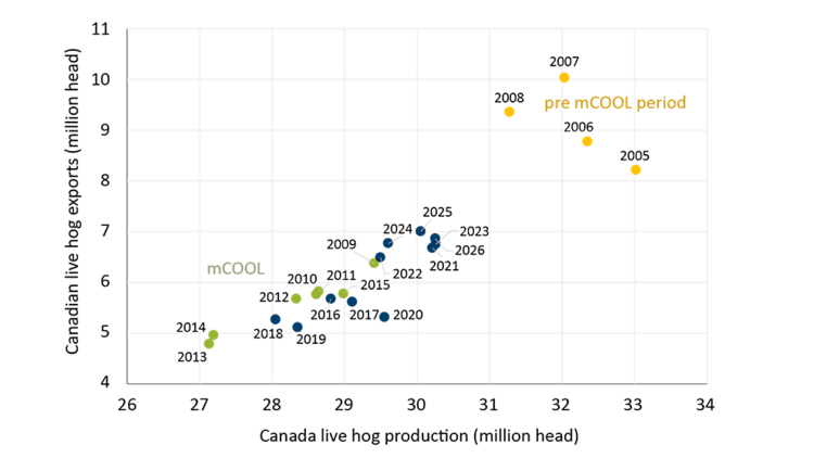 Scatter plot showing the strong relationship between Canadian hog production and exports of live hogs. Prior to mandatory country of origin labelling, Canada had higher production and exports of live hogs.