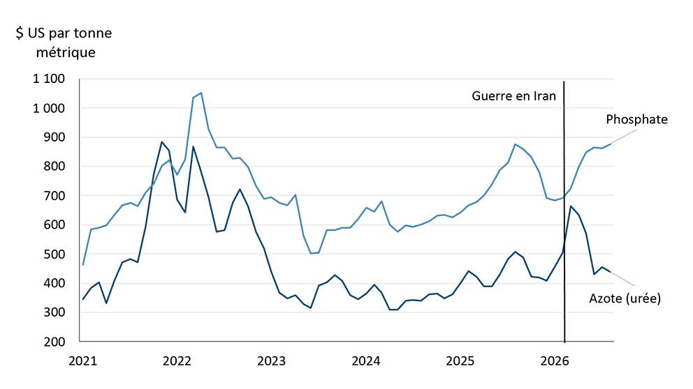 Graphique linéaire illustrant la divergence entre les marchés de l’urée et du phosphate aux États-Unis.
