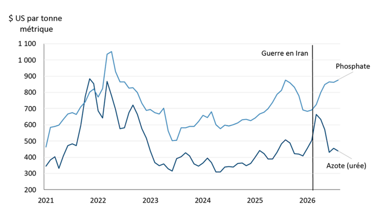 Graphique linéaire illustrant la divergence entre les marchés de l’urée et du phosphate aux États-Unis.