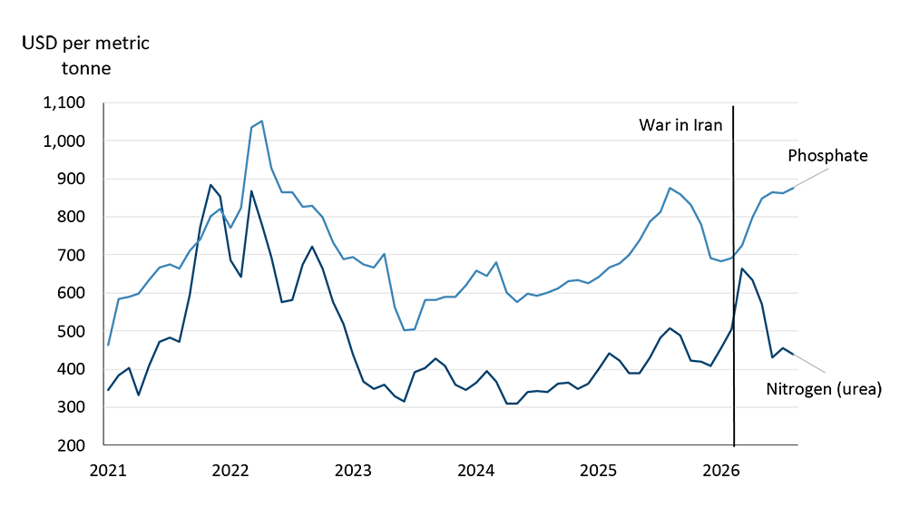 A line figure illustrating U.S. fertilizer markets diverging between urea and phosphate.
