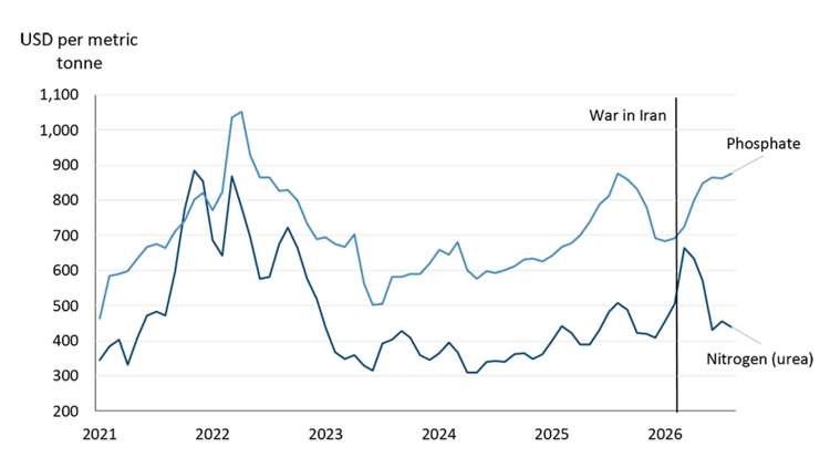 A line figure illustrating U.S. fertilizer markets diverging between urea and phosphate.