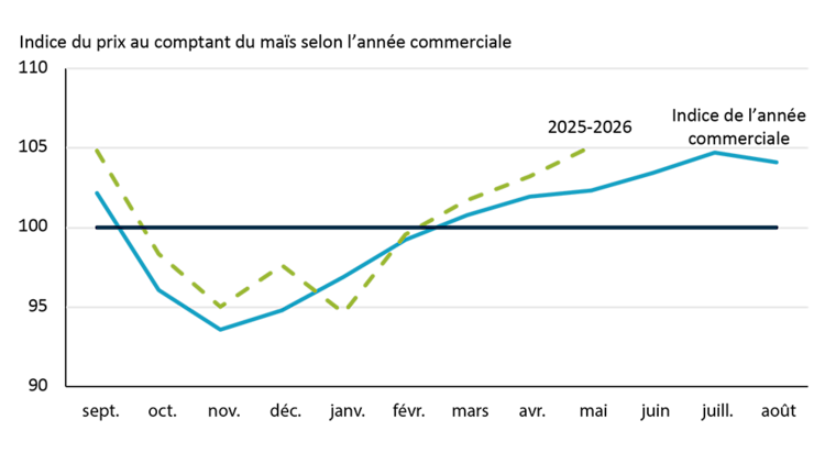 Graphique linéaire montrant comment les prix du maïs diminuent habituellement en Ontario au moment de la récolte, en novembre, puis remontent le reste de l’année pour atteindre un sommet en juillet. L’année commerciale 2025-2026 suit relativement la tendance historique.