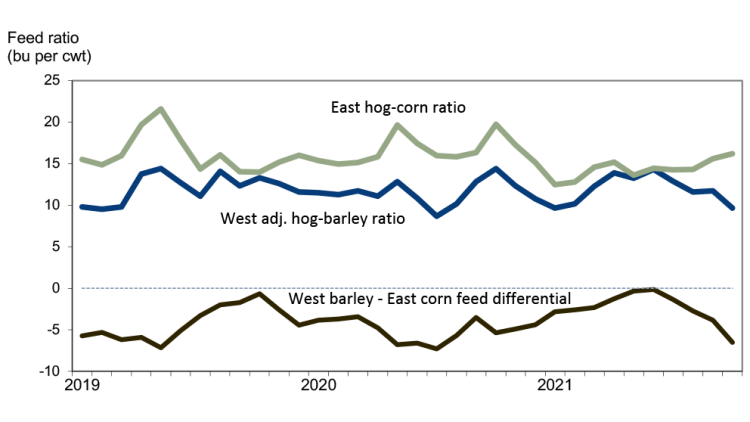 Chart showing that gap in hog-feed ratios shows Eastern advantage.
