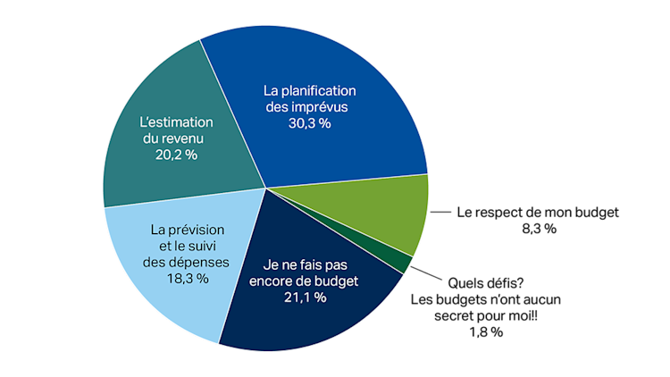 Diagramme circulaire illustrant les résultats du sondage sur les défis des agriculteurs en matière de budgétisation.