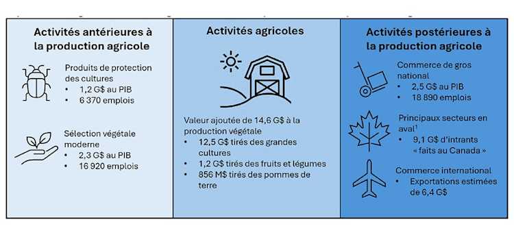 Image montrant la valeur des innovations en sciences végétales pour le Canada en 2023 – activités antérieures à la production agricole, activités agricoles et activités postérieures à la production agricole.