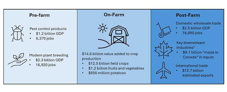 Image showing the Value of Plant Science Innovations to Canadians in 2023 – Pre-Farm, On-Farm, and Post-Farm.