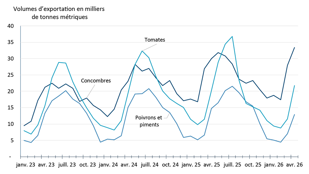 Graphique linéaire illustrant les volumes mensuels d’exportation de légumes de serre de janvier 2023 à avril 2026. Les exportations suivent une évolution saisonnière : elles augmentent généralement de la fin du printemps jusqu’au début de l’automne, puis ralentissent pendant les mois d’hiver.
