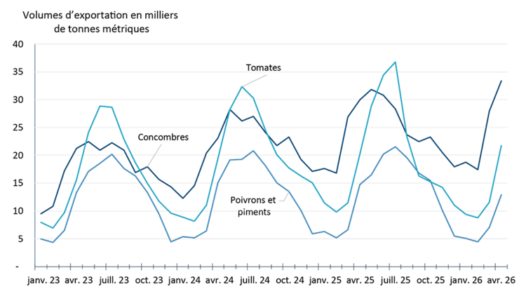 Graphique linéaire illustrant les volumes mensuels d’exportation de légumes de serre de janvier 2023 à avril 2026. Les exportations suivent une évolution saisonnière : elles augmentent généralement de la fin du printemps jusqu’au début de l’automne, puis ralentissent pendant les mois d’hiver.