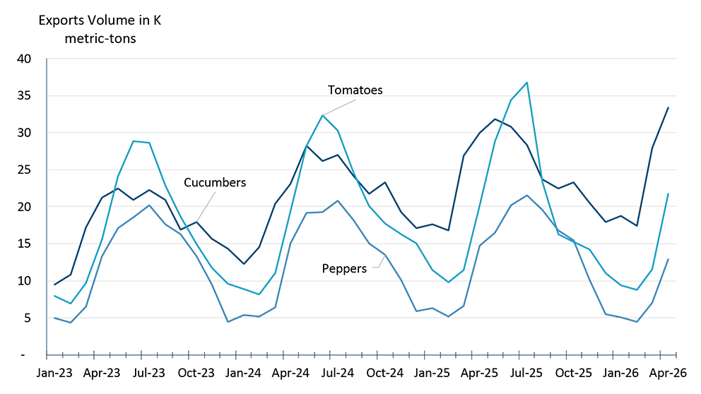 Line chart showing monthly greenhouse vegetable export volumes from January 2023 to April 2026. Exports follow a seasonal pattern, generally rising from late spring through early fall and easing during the winter months.
