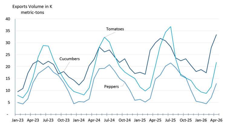 Line chart showing monthly greenhouse vegetable export volumes from January 2023 to April 2026. Exports follow a seasonal pattern, generally rising from late spring through early fall and easing during the winter months.