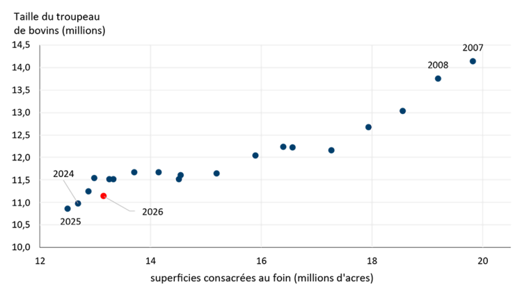 Graphique linéaire illustrant le rapport entre les superficies consacrées au foin et la taille du cheptel bovin.