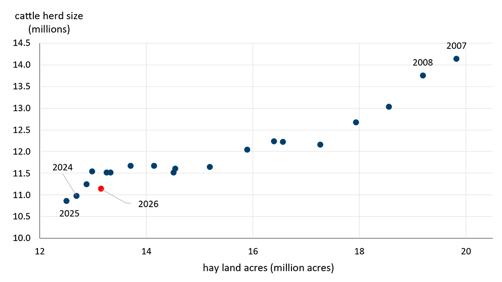 A line chart showing the relationship between hay land acres and cattle herd size. 
