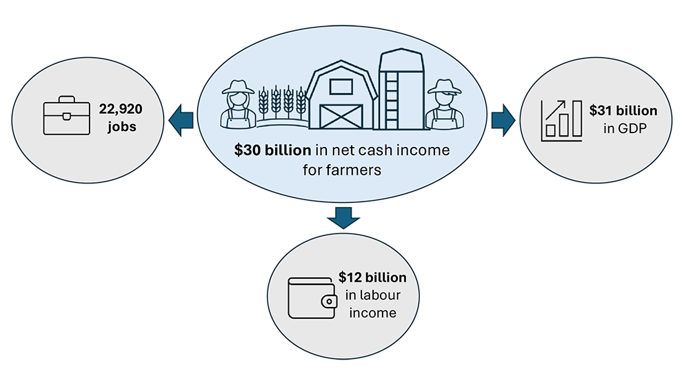 An infographic depicting the estimated aggregate economic impacts of returning to 2 percent annual agricultural productivity growth from 2023 to 2032.

