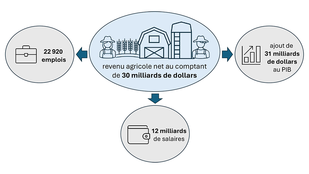 Illustration de l’estimation des répercussions économiques globales qu’aurait un retour à une croissance annuelle de la productivité agricole de 2 %, de 2023 à 2032.
