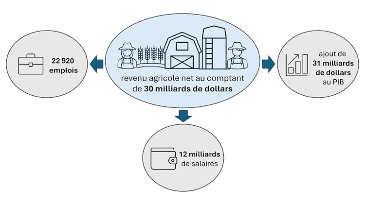 Illustration de l’estimation des répercussions économiques globales qu’aurait un retour à une croissance annuelle de la productivité agricole de 2 %, de 2023 à 2032.