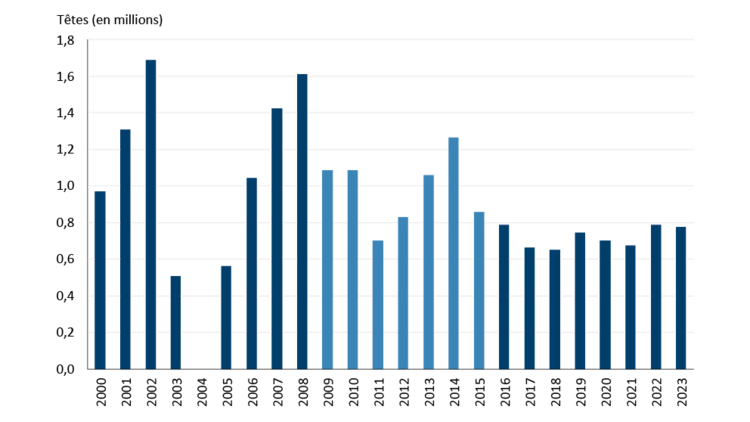 Diagramme à barres montrant les exportations historiques de bovins vivants vers les États-Unis de 2000 à 2023.
