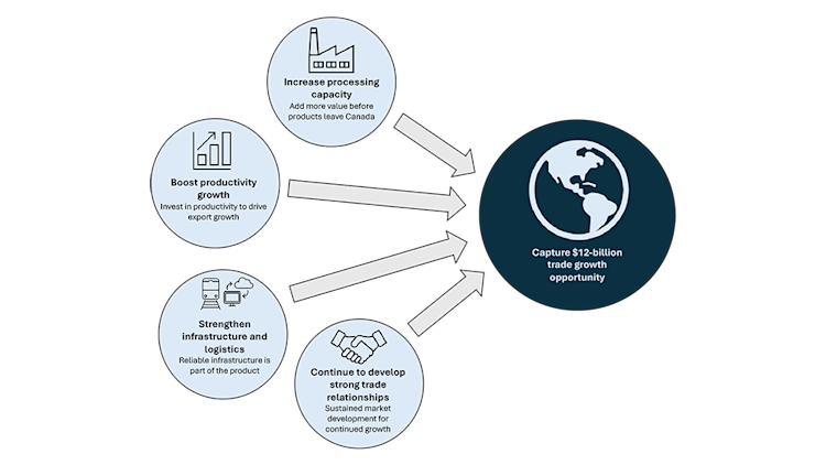 An infographic illustrating four key strategies for capturing the $12-billion trade growth opportunity: increase domestic food and beverage processing capacity, boost agriculture and food sector productivity, strengthen trade infrastructure and logistics, and continue developing strong trade relationships.