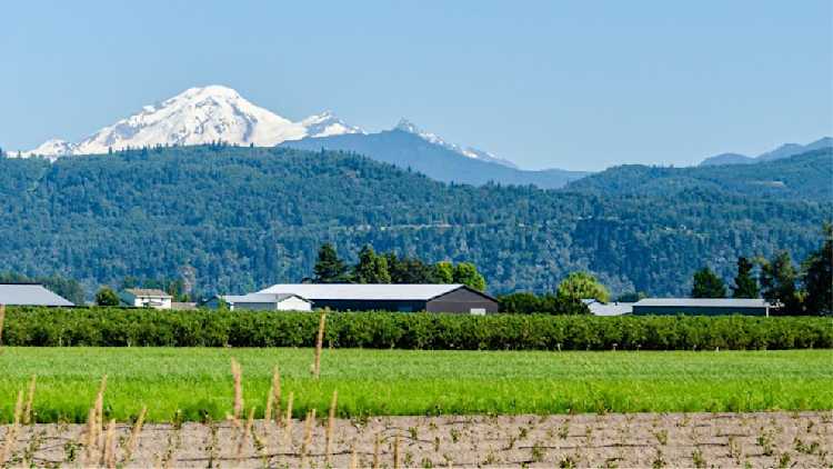 Image de champs avec des bâtiments agricoles devant une chaîne de montagnes.