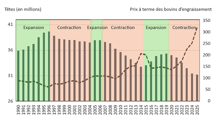 Figure illustrant la relation entre les stocks de vaches nord-américaines, le cycle de la production bovine et les prix à terme des bovins d’engraissement aux États-Unis.