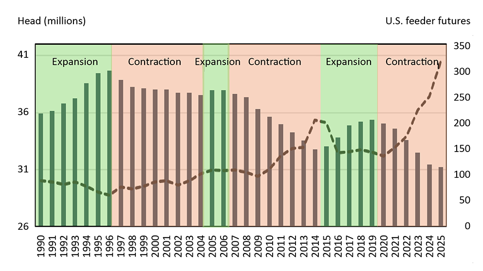 Figure illustrating the North American cow inventory and cattle cycle and relationship to U.S. feeder futures.
