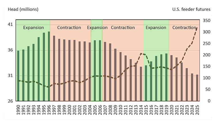Figure illustrating the North American cow inventory and cattle cycle and relationship to U.S. feeder futures.