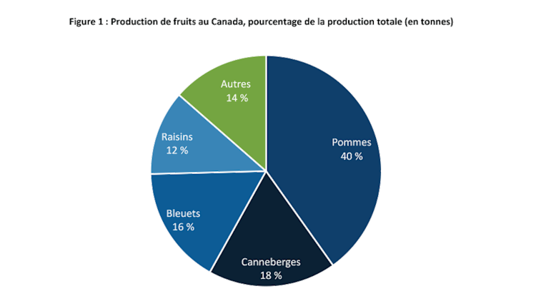 Figure 1 : Production de fruit au Canada, pourcentage de la production totale (en tonnes)
