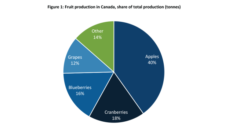 Chart showing Fruit production in Canada, share of total production (tonnes)
