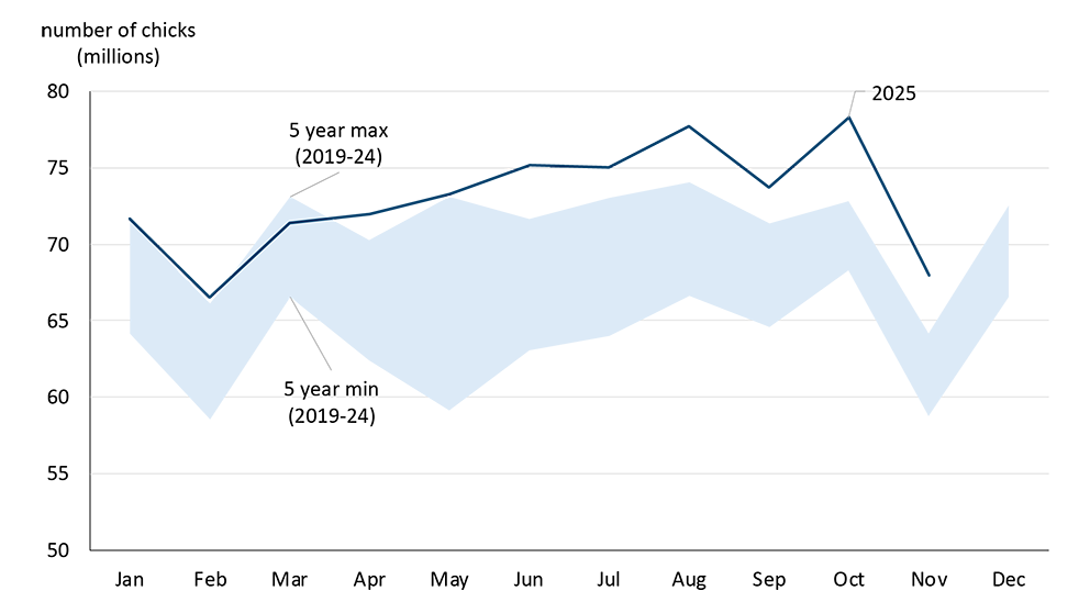 A line chart showing monthly chick placements for broiler production.
