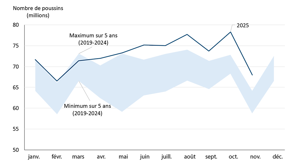 Graphique linéaire montrant les placements mensuels de poussins dans la production de poulets à griller.
