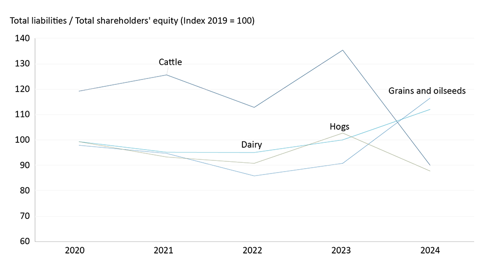 Graph showing the average debt to equity ratio for dairy, hog, cattle, grains and oilseeds farms from 2020-2024.
