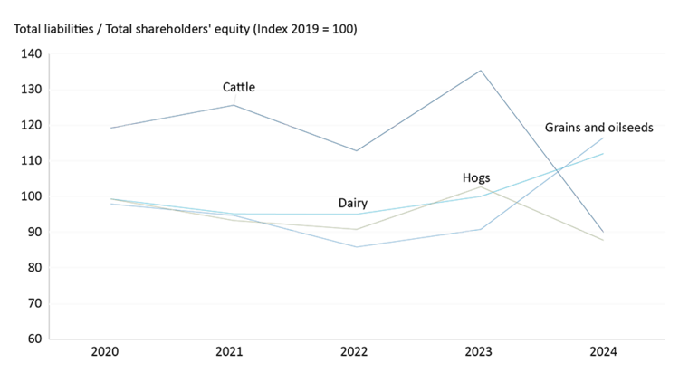 Graph showing the average debt to equity ratio for dairy, hog, cattle, grains and oilseeds farms from 2020-2024.