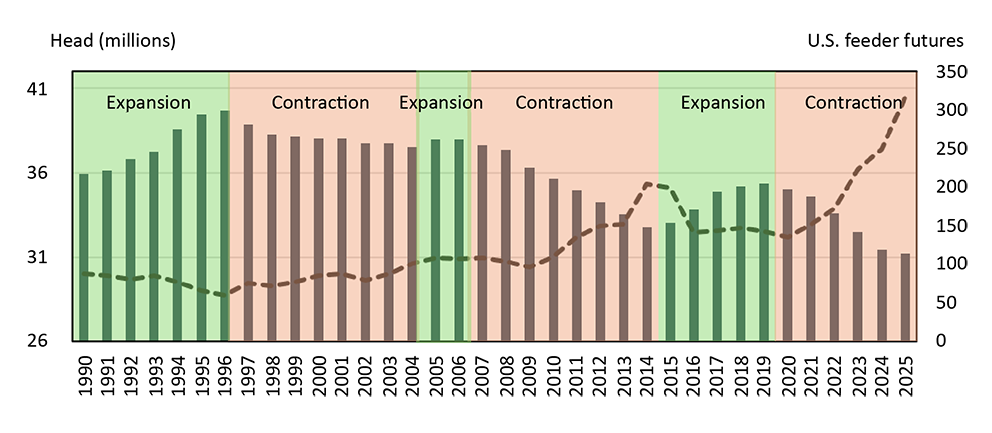 Figure illustrating the North American cow inventory and cattle cycle and relationship to U.S. feeder futures.
