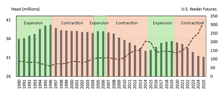 Figure illustrating the North American cow inventory and cattle cycle and relationship to U.S. feeder futures.