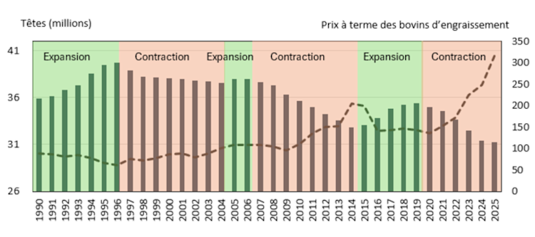 Figure illustrant la relation entre les stocks de vaches nord-américaines, le cycle bovin et les prix à terme des bovins d’engraissement aux États-Unis.