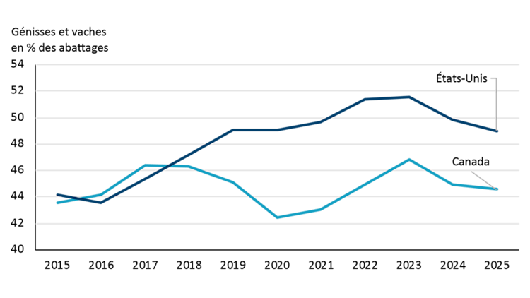 Figure illustrant les abattages de génisses et de vaches en pourcentage des abattages au Canada et aux États-Unis pour la période de 2015 à 2025.
