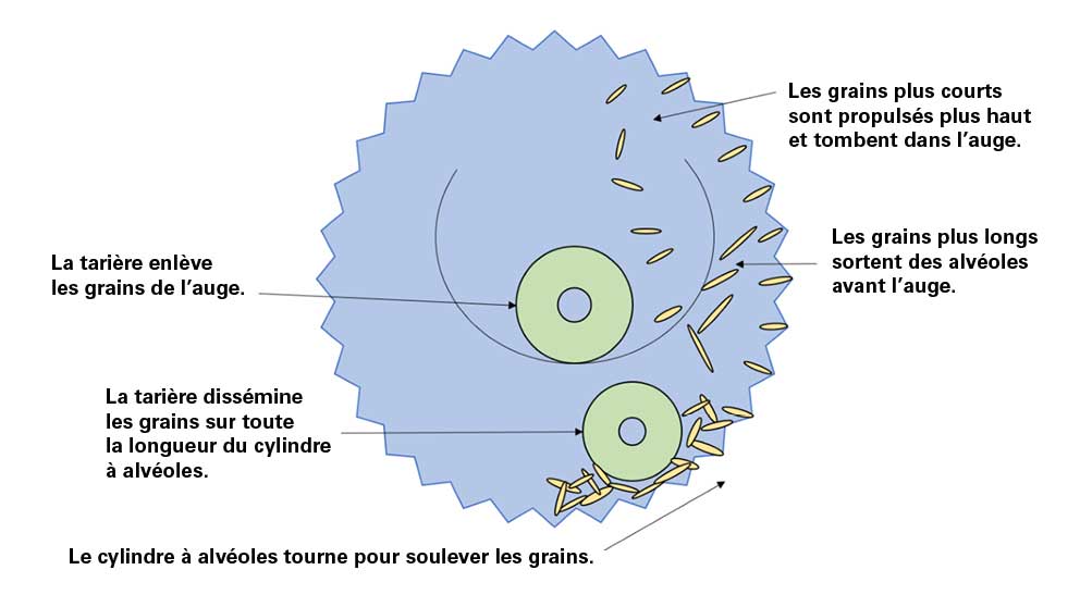 Schéma représentant un cylindre à alvéoles.
