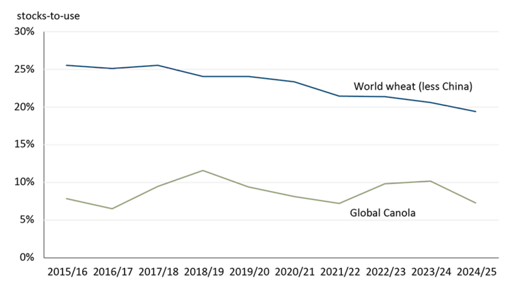 A line chart showing the stocks-to-use for world canola and world wheat excluding China from 2015/16 to 2024/25.