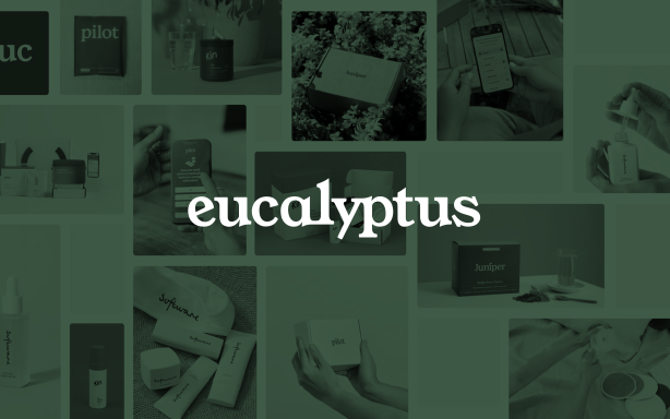 Eucalyptus uses Dovetail to democratize customer research and shape the future of healthcare