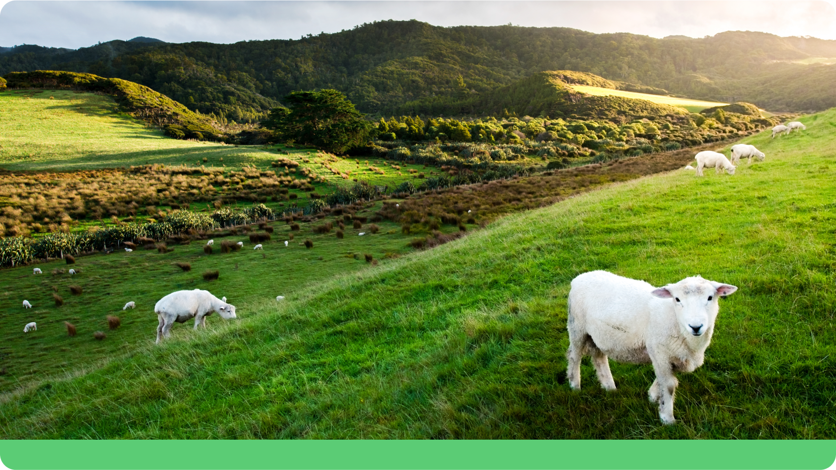 Required Benefits in New Zealand Two Column Image