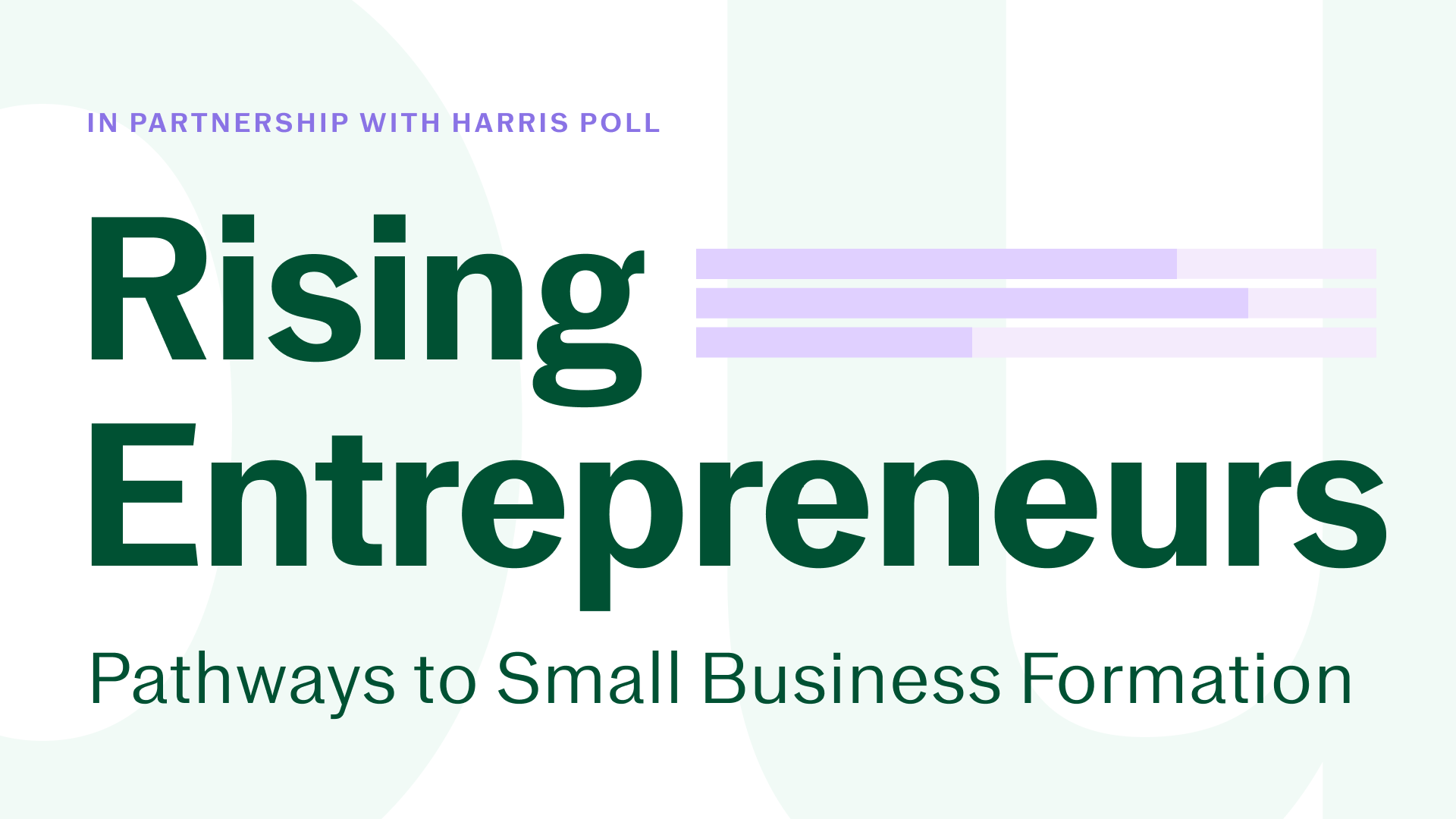 Rising Entrepreneurs: Pathways to Small Business Formation