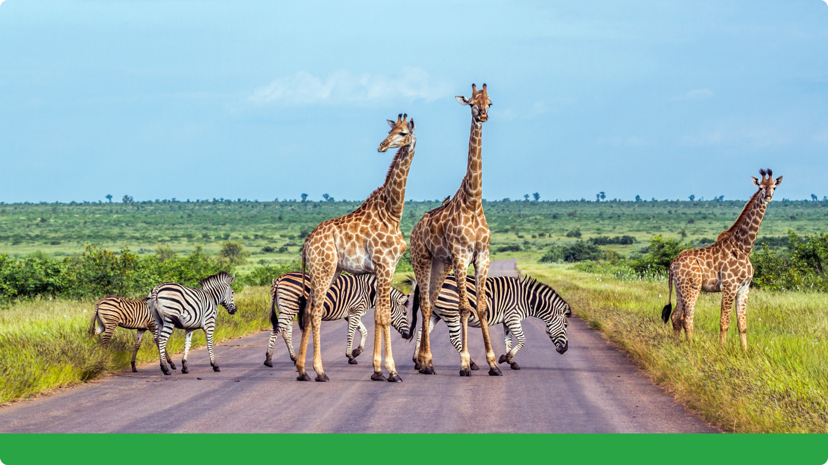 Employee Leave & PTO Expectations in South Africa Image