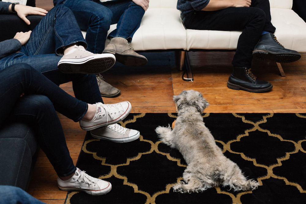 Blog - Hero - Feet and a dog