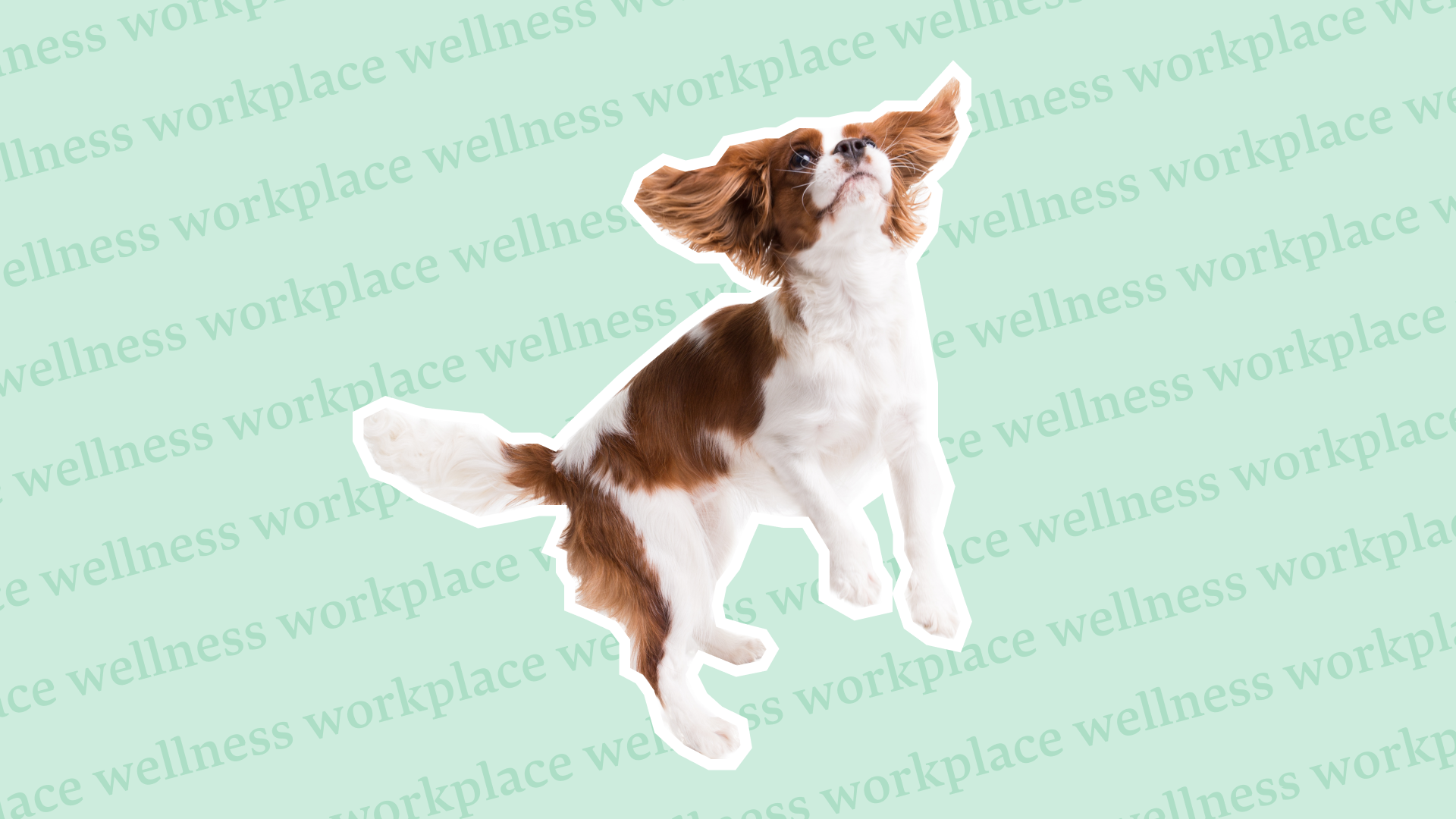 Blog - Hero - 17 Excellent Workplace Wellness Ideas That Don't Break the Bank