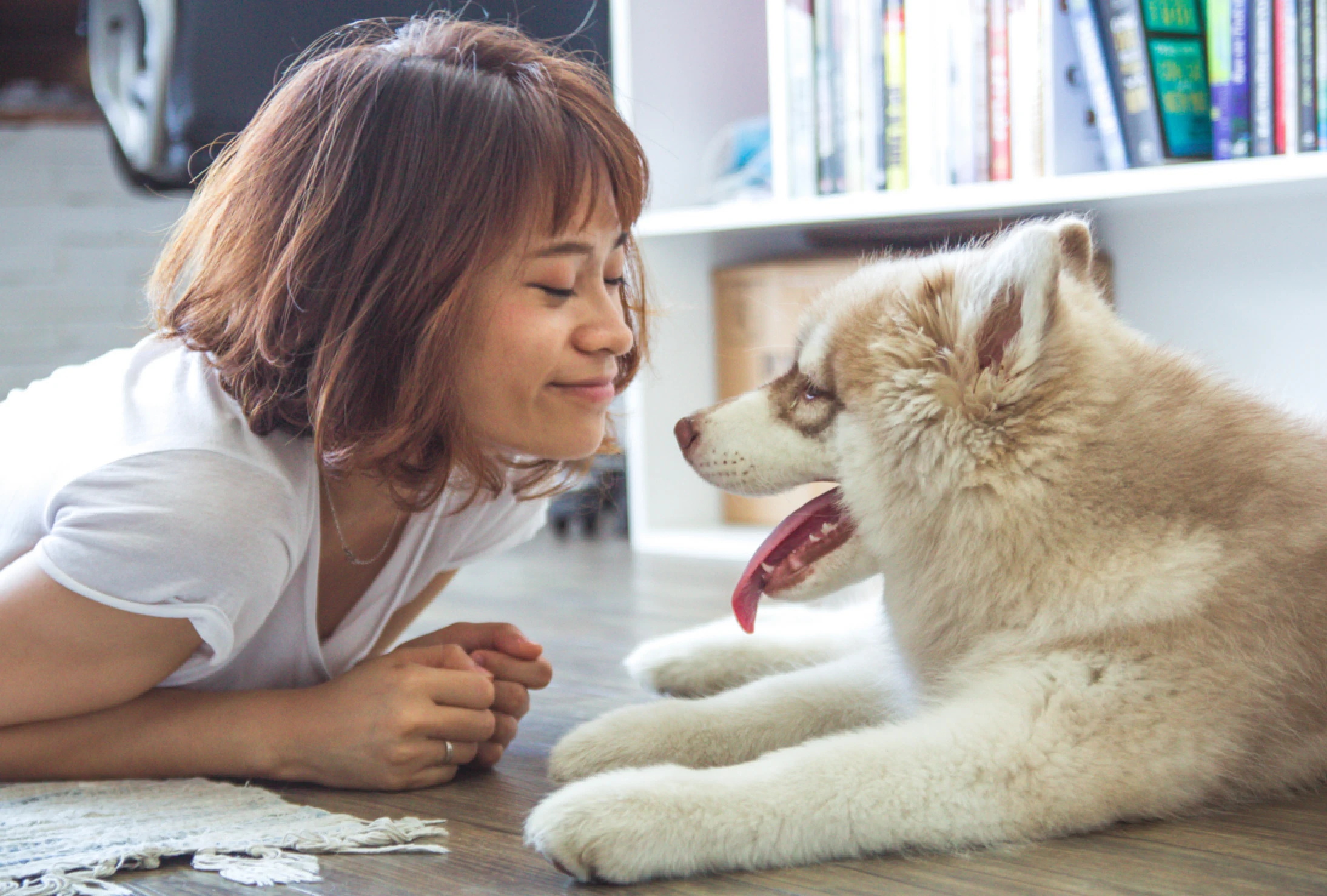 dog-and-woman