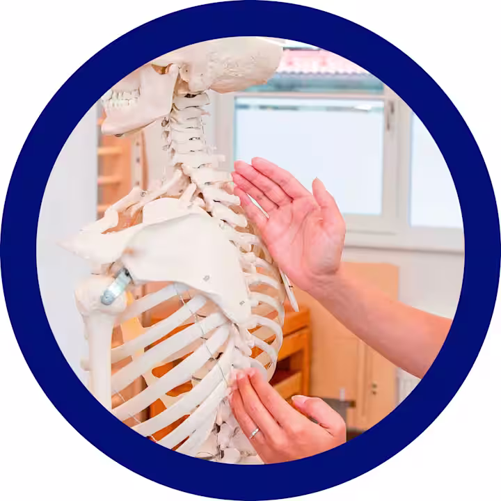 physiotherapie-korsetttraeger-circle-blue (ITA)