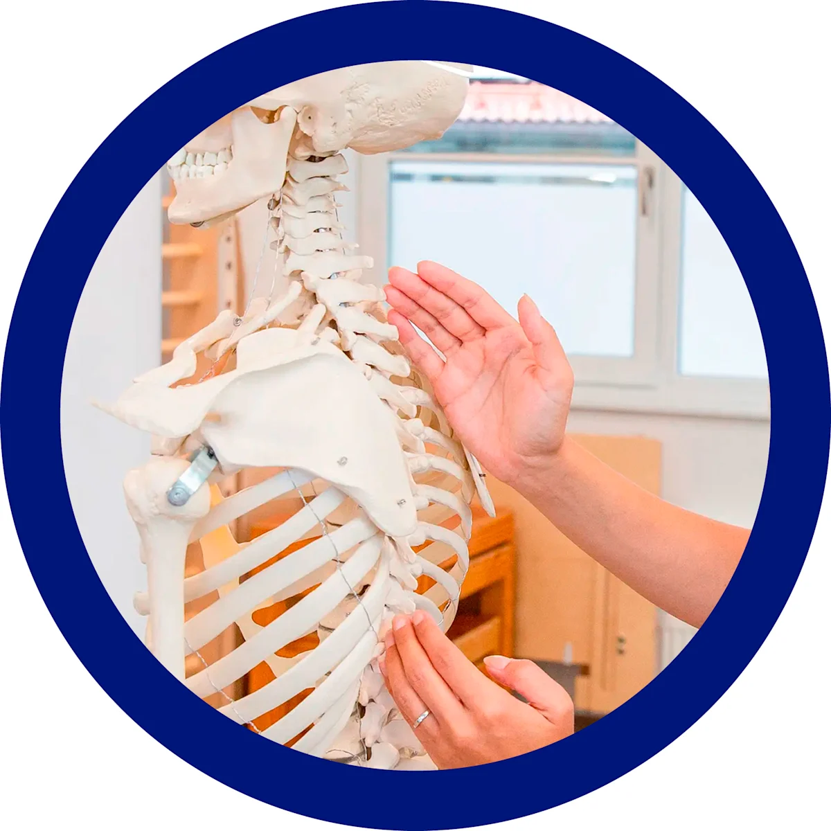 physiotherapie-korsetttraeger-circle-blue (ITA)