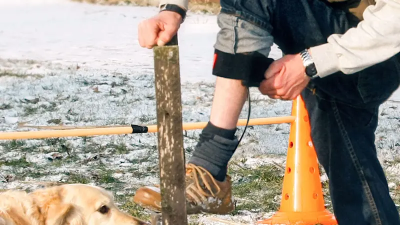 4986944-WalkOn-flex-169 (ITA)